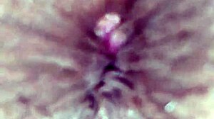 Cumming For Open Ass Of Hot Young Brunette Slut