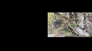 drooling with intense passion over big dick in festival outfit