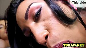 two shemales kiss and fuck bareback in anal assfucking bent over blowjob brazilian crossdressing doggystyle fucking gay kissing latina pov riding sucking tgirl transsexual cock