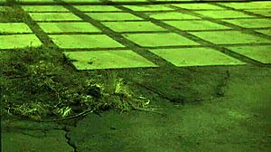 stranded teen gets roughfucked outdoors by pickup guy