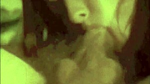 Vintage Pornography Challenge 1860s Vs 1960s