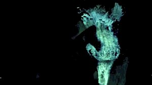 Vintage Dark London Lesbian Lovers In Swinging Sixties Shadows.