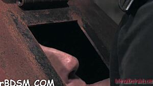 Marvelous Hottie Ready To Strip Naked On Cam!