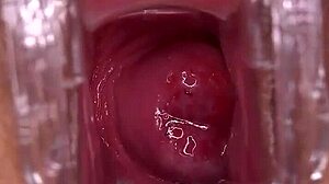 Would you smash or pass my wet shaved pussy?