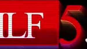 What perfect body does this twerker have?