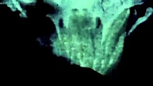 Can You Believe This Vintage Beaver Blowjob From 19th Century Diaries?