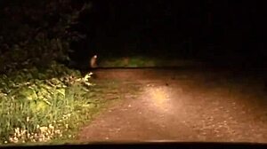 Walking Around Naked And Camping Sex