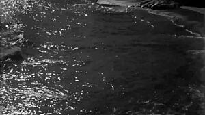 Vintage Antique Art Collection Featuring Hairy Pussy Illustrations