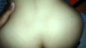 the zorra of america latina dmrs-f