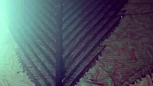 Elza Kom Nylon Tights Fetish. A curvy ebony student worships her narrow ass in leggings and panties during financial domination.