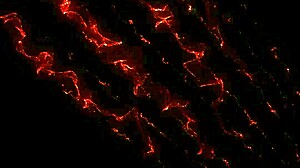 milf1544 manipulating men with distractions