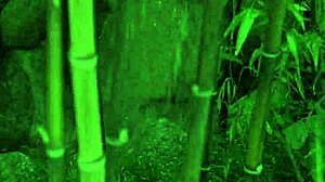 Slim blonde taylor hilton gets fucked by the pool