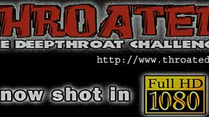 Hot sweethearts sucking dick