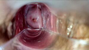 pulsating orgasm inside the vagina