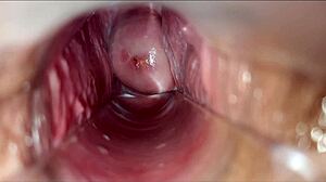 pulsating orgasm inside the vagina