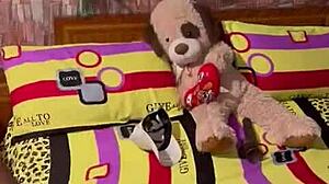 Sundaysdogood614 update 265 video June 23 2024