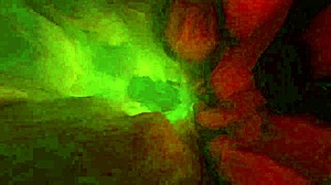 ever tried giantess anal vore? it's huge insertion with wild sounds