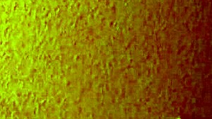 i hooked up with this cheap mature asian hooker at the brothel for creampie fun licking her feet too