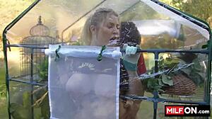 Big Ass Blondie Jenna Starr's Huge Natural Tits Bounced In Garden Fuck!