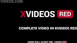 full video shows couple's sweet kisses caresses and touches building up before sex red