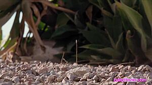 cosplay girlfriends wanna share this monster dildo cock right now