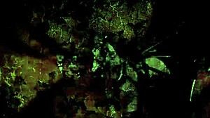 vintage hairy retro erotic cartoon drawings