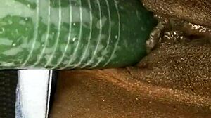 kissesxxx pounds cucumber outdoors till she squirts everywhere!!