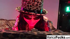 pimp marica hase scrambles to cover those la county porn fees casually