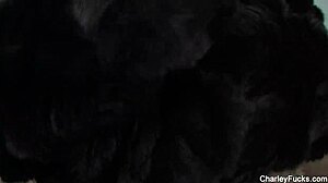 Charley Chase Fingers Pussy Tits Solo Masturbation Fun!