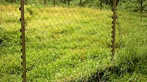 African Vacation Footballer Pounds Mature Tourist Park Pussy Raw