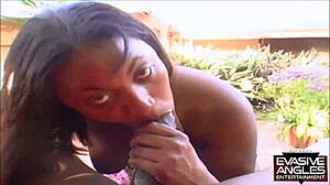 Evasive Angles Catch Bent Over Outdoor Fuck Under Sun Igniting Wild Urges