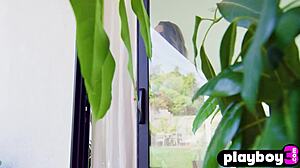 big tits brunette kimmy granger poses naked milf curves exposed fully