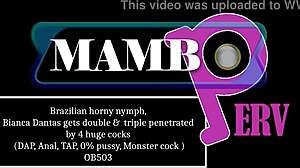 How does bianca dantas take double anal from monster cocks balls deep?