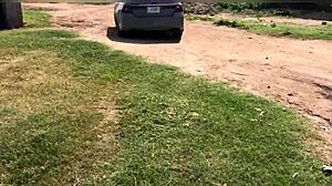 bbw slut spreads fat ass for big cock in cheap hotel