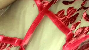 hermanastra wake up i found you napping now let me fuck you good