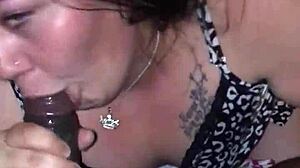 cecee superhead slurps interracial cum deepthroat pov swallow fest