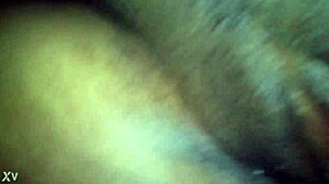 professora joselia from palmas begs for deep brazilian pussy pounding