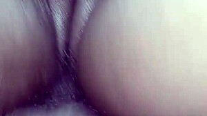 granny begged for cum on her fat ebony pussy during doggystyle pounding