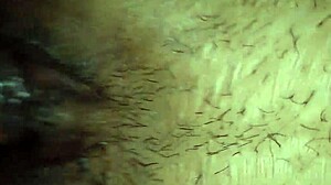 my indian stepsister waits alone in her room for my cock inside her tight pussy