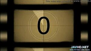 hey what wild fun with these legs in stockings vol 79