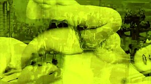 Vintage Erotic Art Beaver Hairy Pussy Antique Retro Scenes Exposed