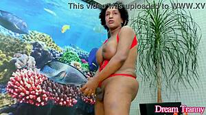 mature tranny adrieli pinheiro grips her huge black cock and strokes to explosion