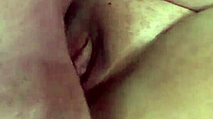 wearing satin gloves fishnet body stocking bbw gets fucked till creampied