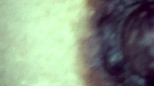 is your tight little ass ready for my slow deep thrust?