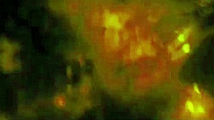 damn my sexy latina bubble butt body craves all that bbc riding cowgirl nonstop