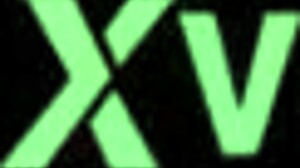 Twin shemale escorts deliver 2x1 group pounding fun