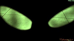 i'm the masked sub on leash begging sadistic mistress in heels pov...