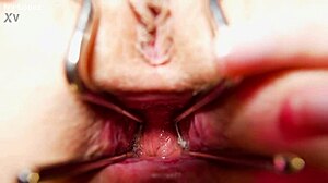 wanna see this cute latina teen's gaping asshole stretched by speculum doggystyle close-up?