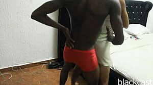 crazy couple dances wild before big black cock doggystyle pounding